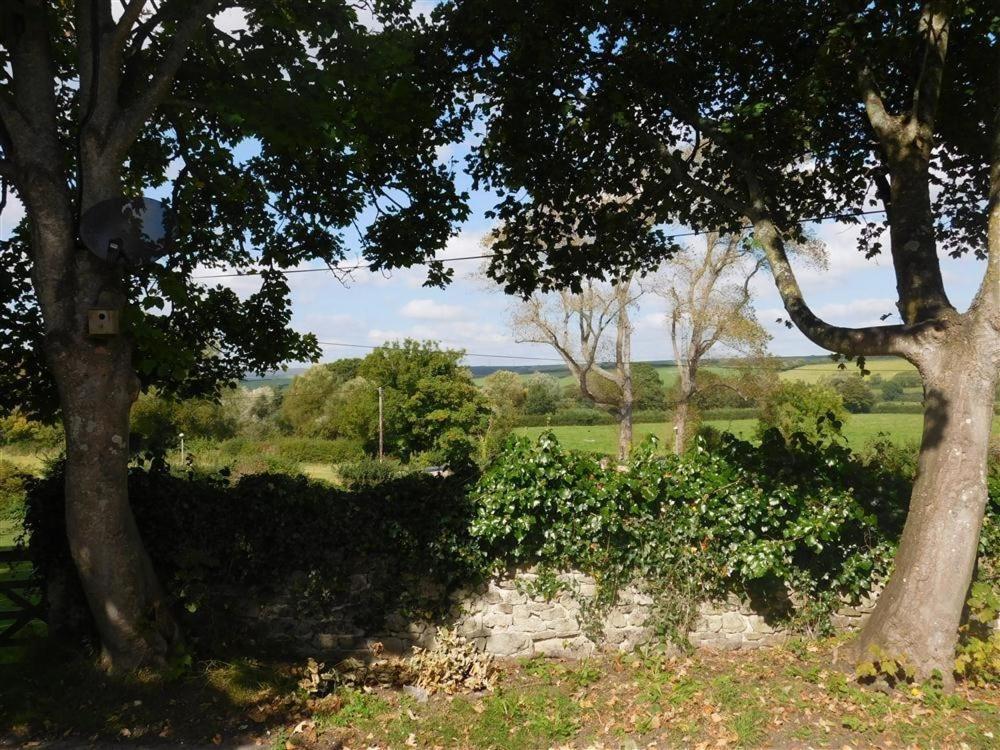 Follis Cottage Γουέιμουθ Εξωτερικό φωτογραφία